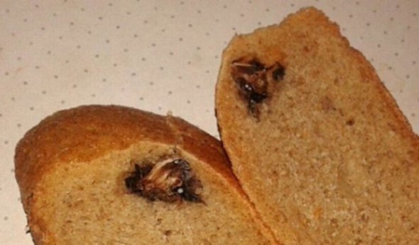 Хліб спекли із головою миші