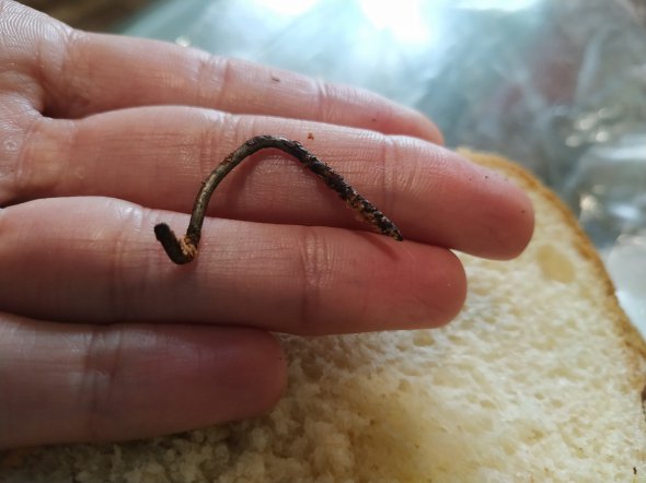 У хлібі був ржавий цвях