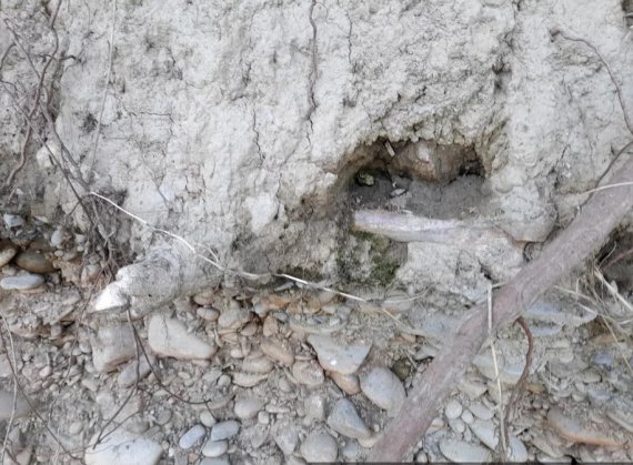 У польському місті Освенцім чоловік виявив на березі річки людські кістки