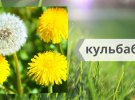 Як українською правильно називаються квіти