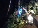 На Рівненщині Volkswagen Touran злетів з дороги та врізався в дерево. Двоє чоловіків загинули, ще троє скалічилися