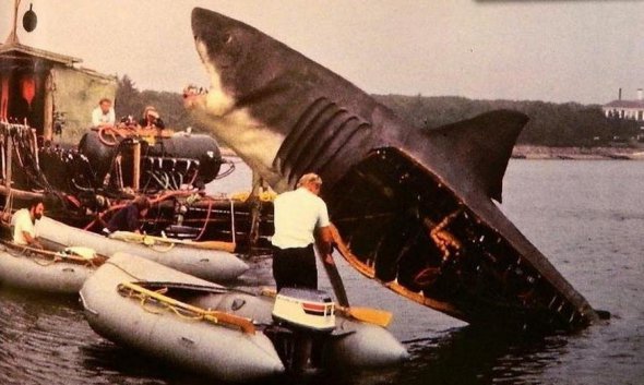 Для фильма создали 3 механических акулы: для съемок  справа и слева, а также для съемок в полную величину