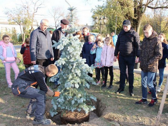 Жители Ивановки увековечили память Дарьи и посадили на центральной аллее сквера ель