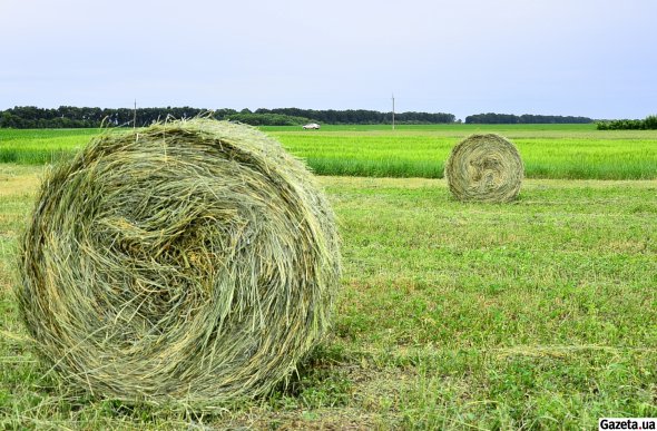 Переважне право викупу землі отримають аграрії, які багато років працюють на ній