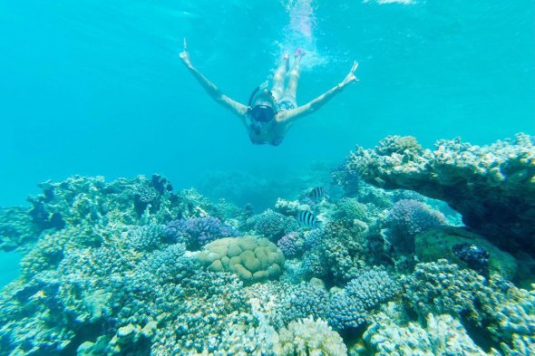 Певица Тоня Матвиенко погрузилась в морские глубины, чтобы полюбоваться красотой кораллов