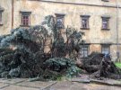 Негода повалила дерева та затопила вулиці у Львові