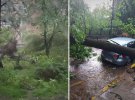 Непогода повалила деревья и затопил улицы во Львове