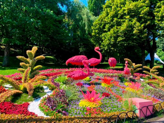 На Певческом поле открылась новая выставка цветов "Планета диких животных"