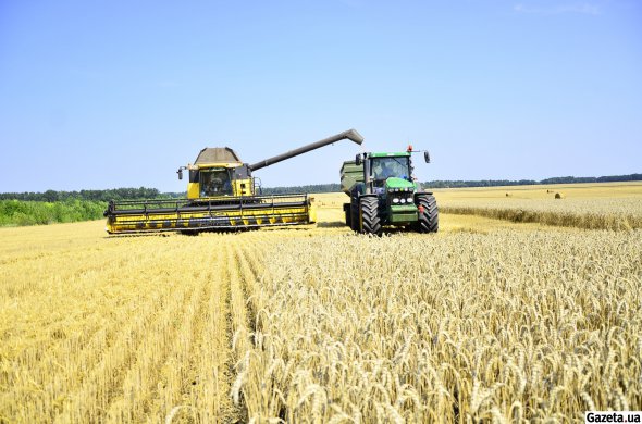 Ближайшие 2,5 года земли сельскохозяйственного назначения смогут покупать только физические лица, которые являются гражданами Украины