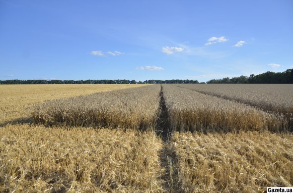 Підтримують продаж землі іноземцям 12,1% українців