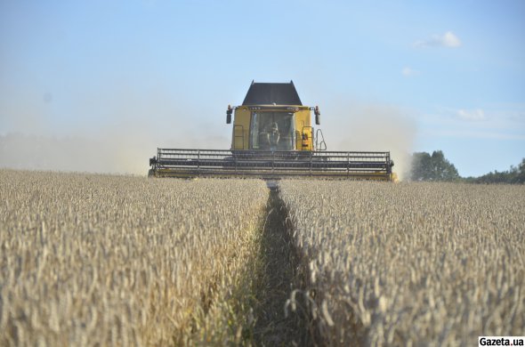 44,2% експорту України складає аграрний сектор