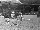 Відпочивальники у Курпатах. 1962 рік