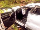 На Ивано-Франковщине Volkswagen Tiguan слетел в обрыв. Погибли трое мужчин и женщина