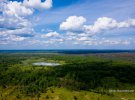 У Чорнобильській зоні відчуження знайшли майже ідеальне озеро.