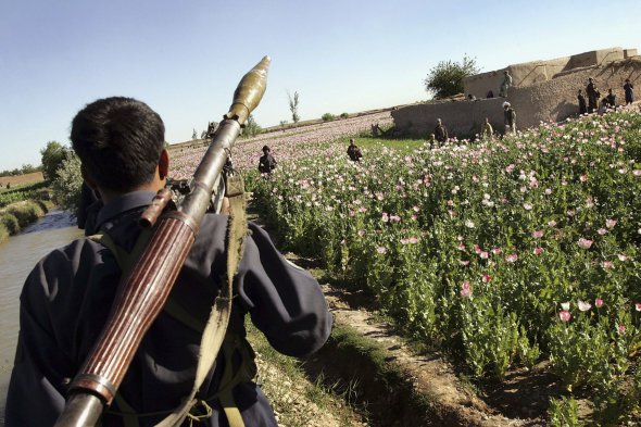 Талибы получают много денег от торговли наркотиками
