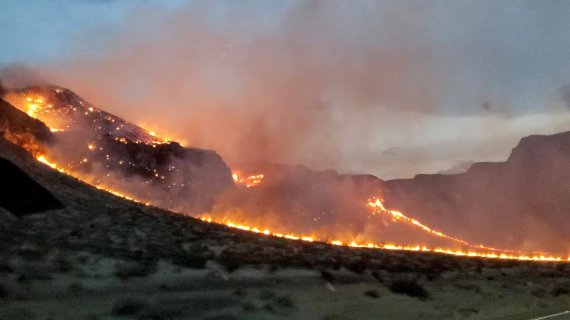 В 10 американских штатах бушуют лесные пожары.