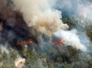 У 10 американських штатах вирують лісові пожежі.