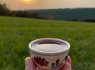 Привычка пить кофе у казаков пошла из Турции