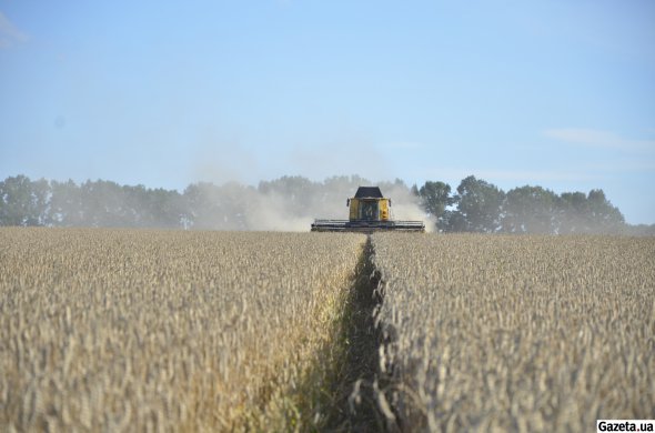 Полтавщина лідирує. 219,7 га — це площа земель, за якими уклали угоди у області