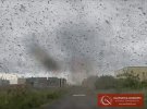 На Камчатке сняли на видео смерч с комаров. Фото: kamchatinfo