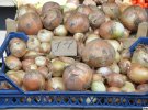 На рынках лук нового урожая сейчас стоит 14 грн/кг