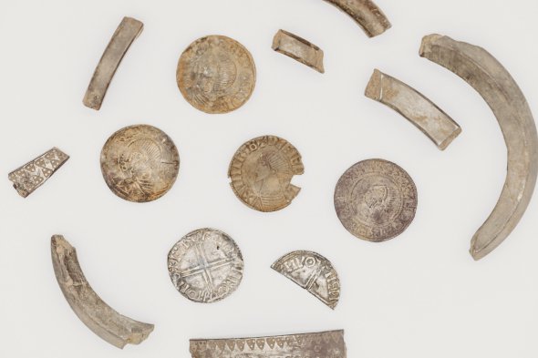 87 монет и серебряные слитки женщина нашла с помощью металлодетектора