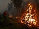 Участок сгоревшего леса после лесного пожара в Якутии.
