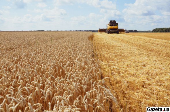 За два тижні в Україні побільшало власників ділянок на понад 100 гектарів