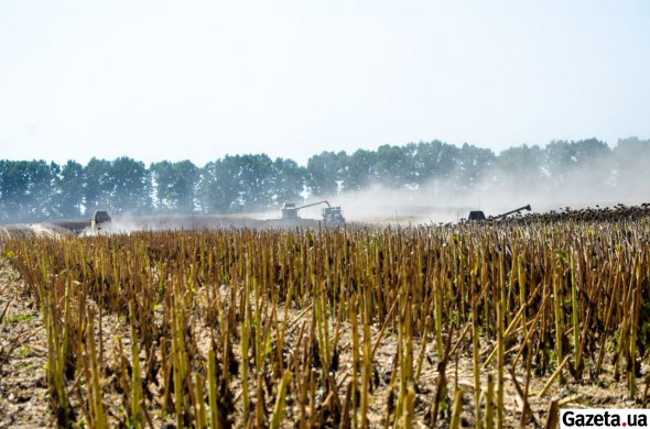 В Украине климатические зоны земледелия сдвигаются на север на сотни километров