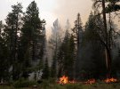 Лісові пожежі у США досі не вдалось згасити, штат Орегон, США