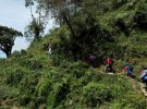 Члены международной благотворительной организации занимаются поиском наземных мин в Кармен-де-Виборал, Колумбия