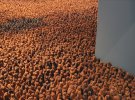 Інсталяція 'Field for British Isles (1993)' Ентоні Гормлі, яка складається з 40 000 мініатюрних теракотових фігур, виставлена в Північній галереї в Сандерленді, Великобританія
