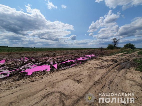 В поле возле Ровно обнаружили лужи с розовым веществом