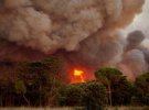 Лесные пожары вспыхнули в трех регионах Испании. Фото: korrespondent