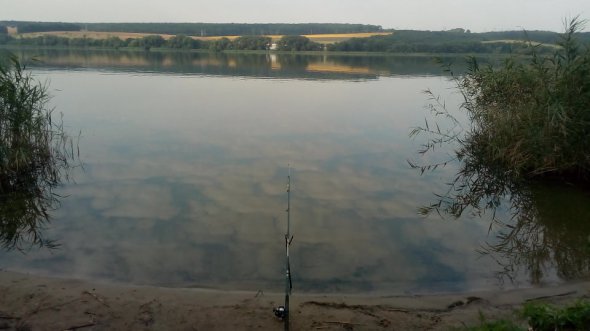 Берег на базі відпочинку "Шанс" пологий, підходить для відпочинку з дітьми