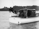 Герцогиня Йоркская ловит рыбу в бухте Островов, Новая Зеландия, 1927 год