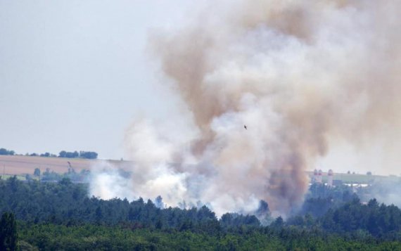 На острові Хортиця сталася масштабна пожежа. Фото: rbc.ua
