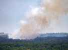 На острове Хортица произошел масштабный пожар. Фото: rbc.ua