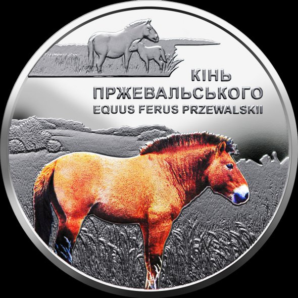 На реверсі монети на тлі пейзажу зобразили коня Пржевальського