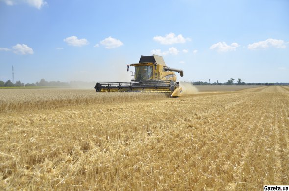 Негода цього року відтермінувала збирання урожаю зернових, але шкоди не завдала