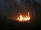 Лесные пожары не могут потушить с начала июля.