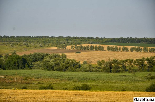 За месяц продали земли на 210 миллионов гривен