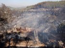 Уже 107 лесных пожаров потушили. Люди остались без крова, погибли домашние животные