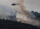 Вже 107 лісових пожеж загасили. Люди залишились без домівок, загинули домашні тварини