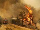 Вже 107 лісових пожеж загасили. Люди залишились без домівок, загинули домашні тварини