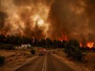 Греки наживають масштабні пожежі. що охопили країну, біблійною катастрофою