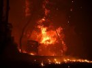 Греки наживают масштабные пожары, охватившие страну, библейской катастрофой