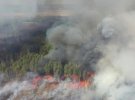 В апреле 2020 года в Чернобыльской зоне потушили один из самых масштабных пожаров в Украине. Тогда огонь прошелся по 11,5 тыс. га, уничтожил 12 сел и нанес ущерб на десятки миллионов гривен