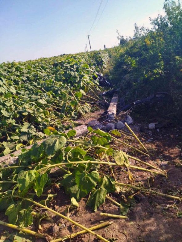 У ДТП загинули 31-річний водій і 36-річний пасажир. Ще двоє пасажирів - брати 37 та 20 років, - у лікарні