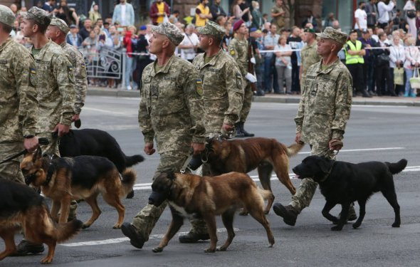 В параде впервые примут участие служебные собаки. Фото: Сергей Старостенко, Gazeta.ua
